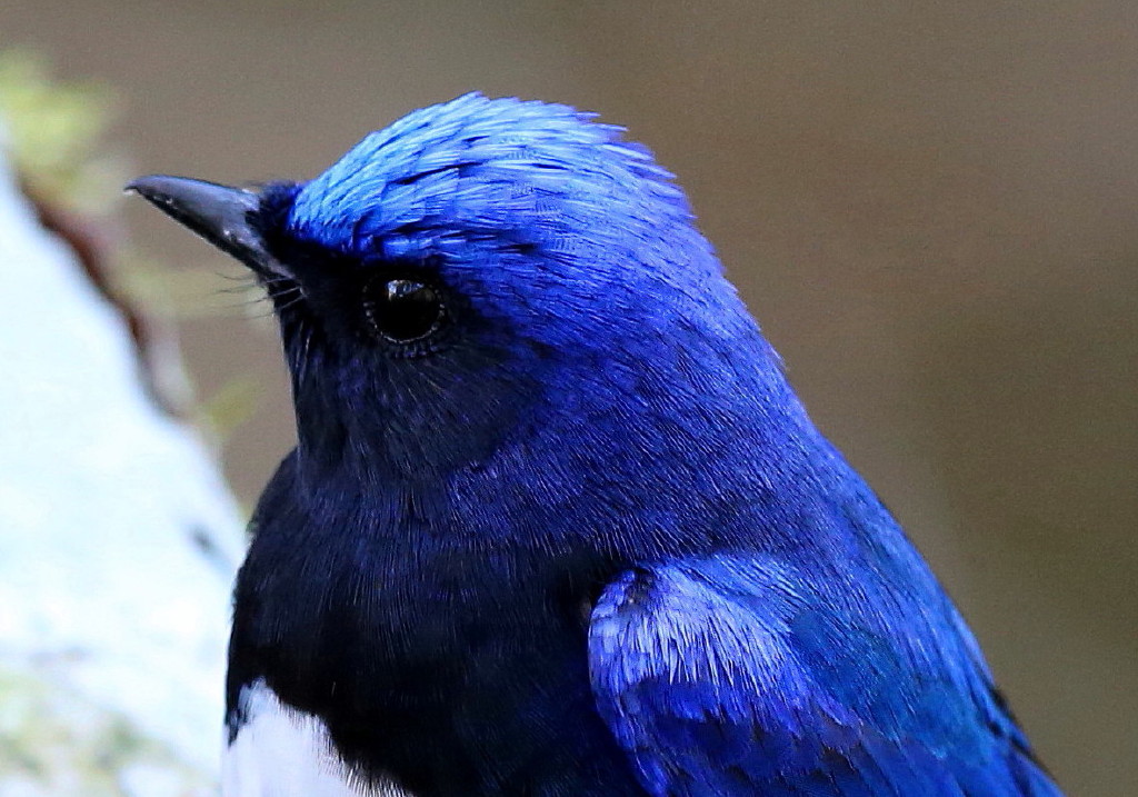 b0179023_2138579.jpg