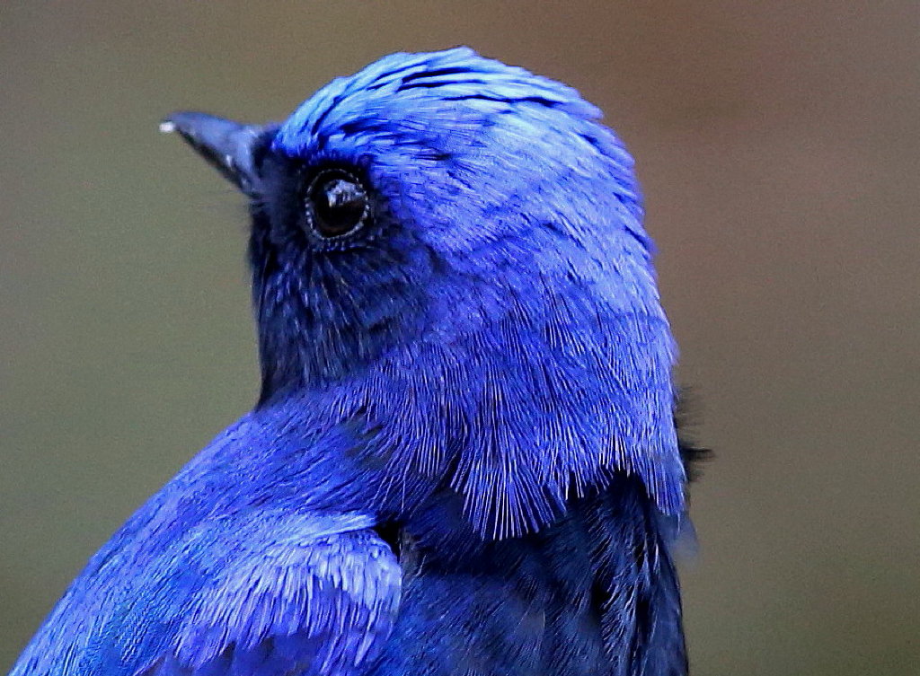 b0179023_21394663.jpg