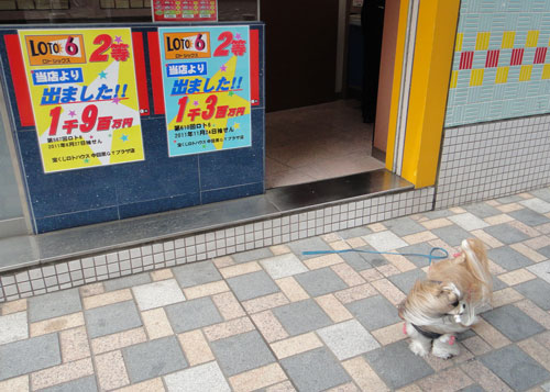 老舗ピッツァ店 聖林館(セイリンカン)_c0028424_19373318.jpg