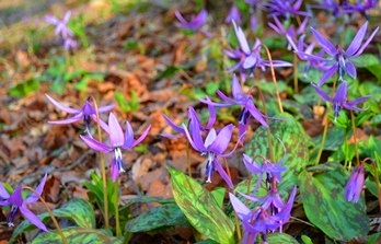 c0204725_0183164.jpg