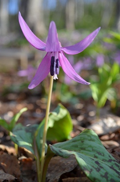 c0204725_0204660.jpg