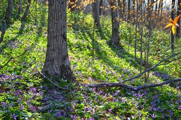 c0204725_0213651.jpg