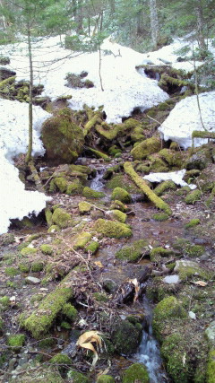 f0100825_18212775.jpg