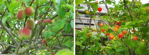 c0146127_22562465.gif