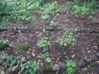 f0086827_7492226.jpg
