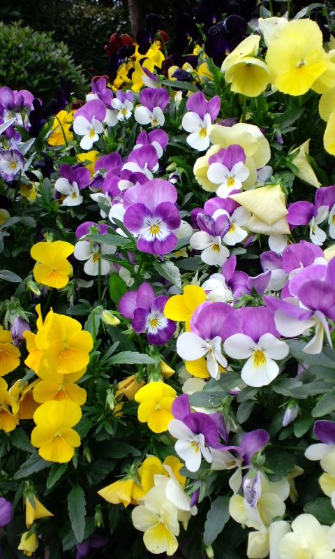 e0240129_22282964.jpg
