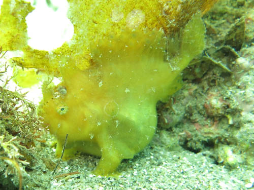 d0164831_20423177.jpg