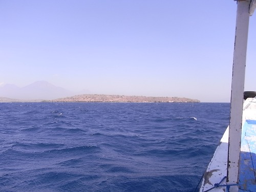 e0039033_1593258.jpg