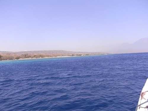 e0039033_245159.jpg