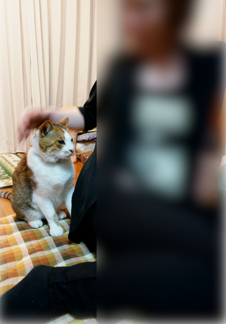 今年の猫連休 #2〜Goodbye and welcome _b0060239_2143999.jpg