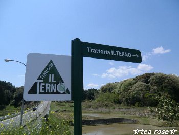 こだわり食材のイタリアン＠Trattoria IL TERNO♪_d0170639_22115958.jpg