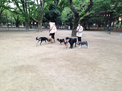 代々木公園にて_b0132442_22515791.jpg