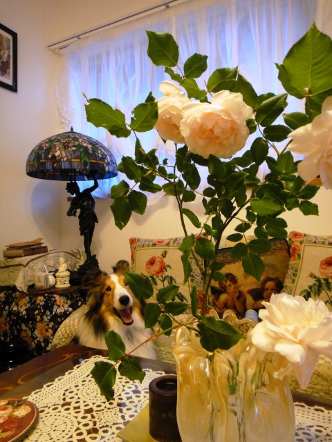 散歩道の花と我が家のバラ_e0195743_124070.jpg
