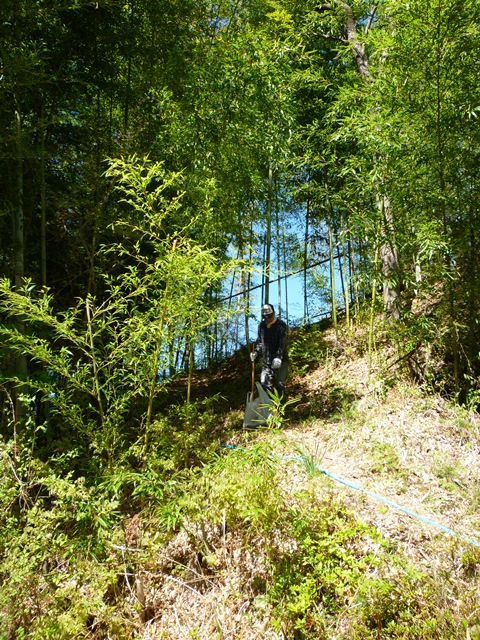 e0118846_13554230.jpg