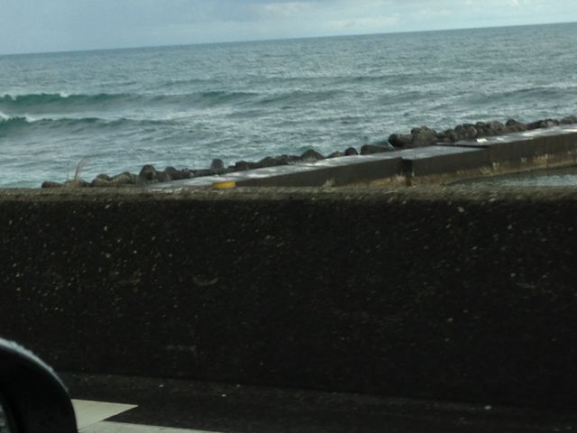 c0254151_1084993.jpg