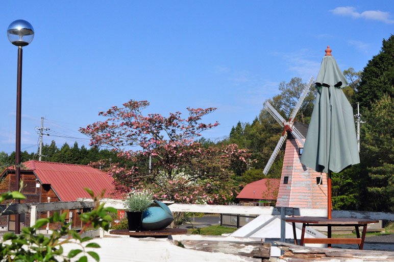 b0214652_95943.jpg