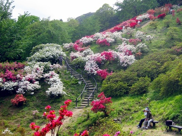 ツツジ公園の写真を_b0115553_23323062.png