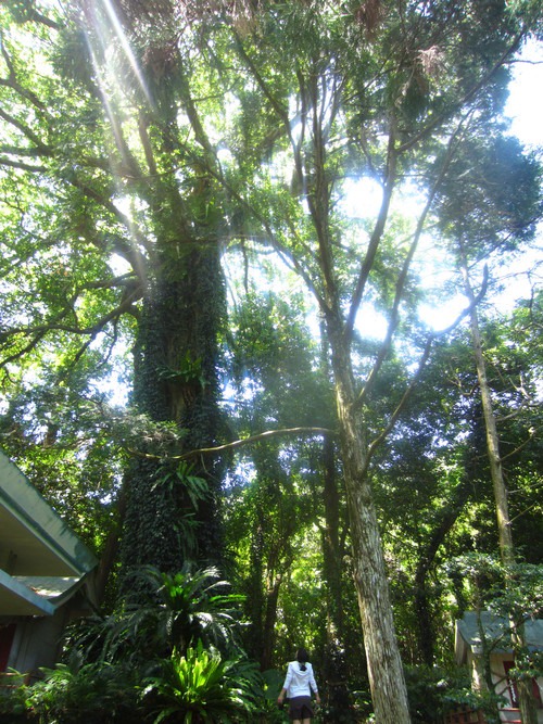 b0160957_10454530.jpg