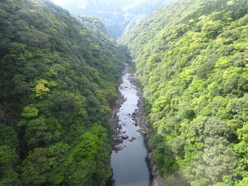 b0160957_11235010.jpg