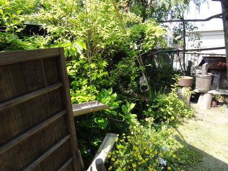 c0108460_21561100.jpg