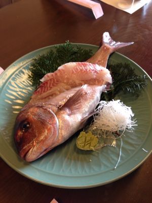 大人の遠足 \'13 春編_f0134268_2135611.jpg