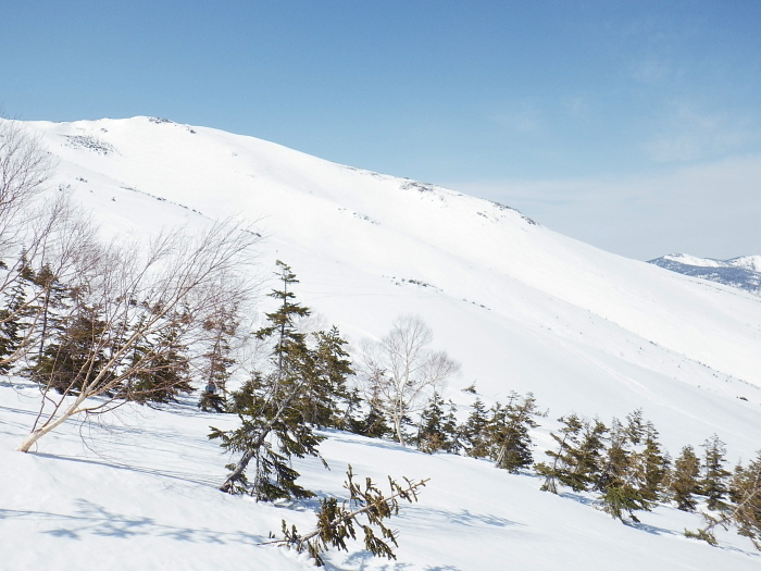 ２年ぶりの至仏山_e0292469_10185111.jpg