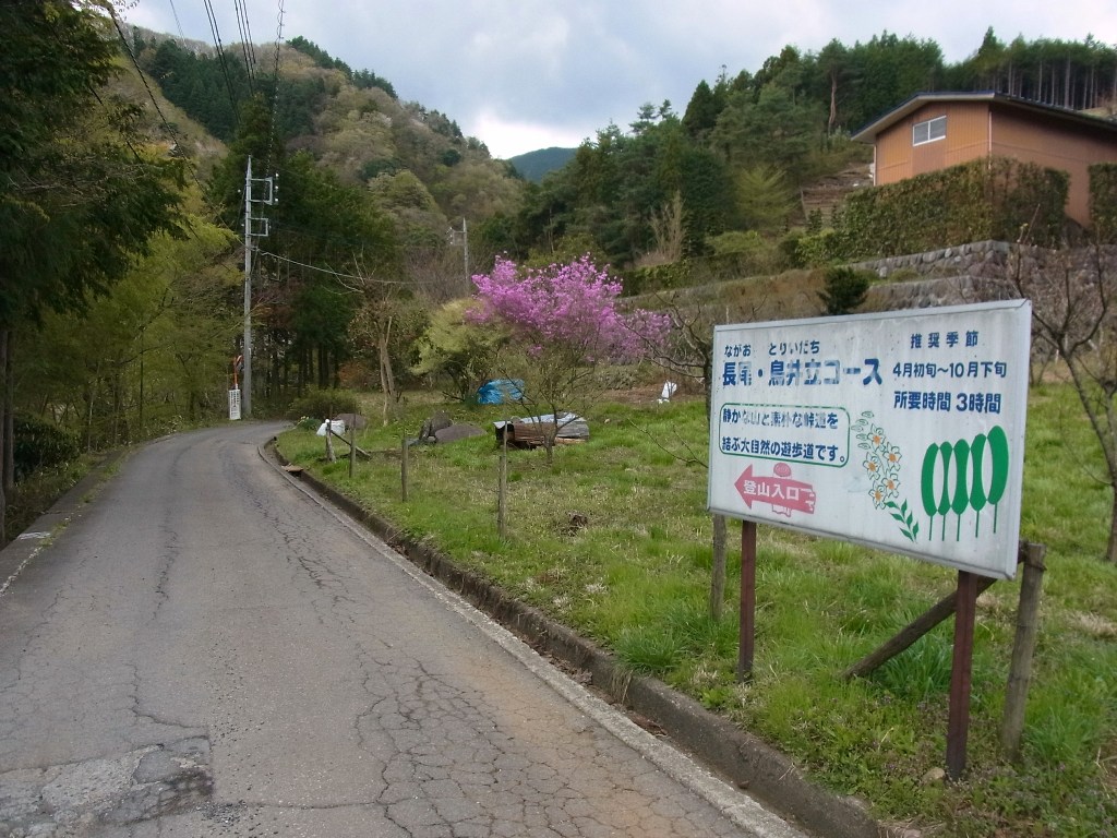 2013/04/11　鳥井立　長尾　赤鞍ヶ岳　棚ノ入山　前編_d0233770_19551064.jpg