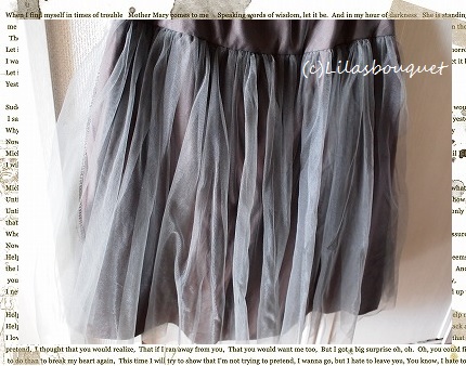 tulle　skirt♪_e0174171_716529.jpg