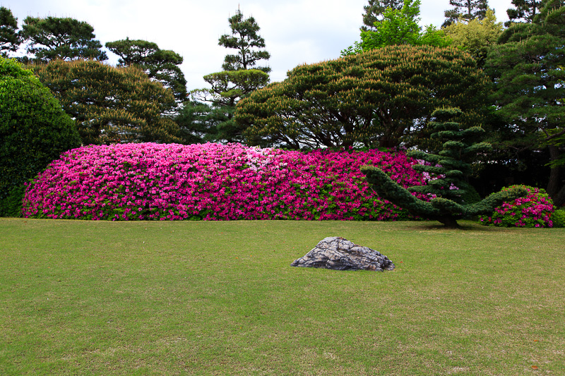 城南宮　ツツジと藤_f0224083_21373337.jpg