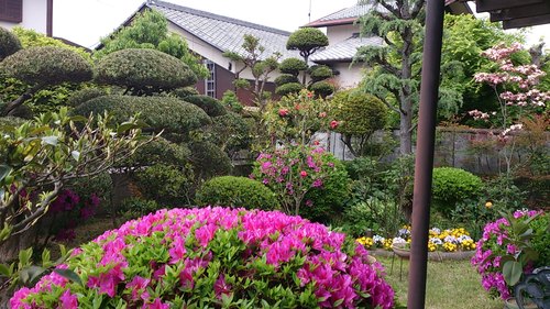 『実家』_a0075684_1243120.jpg