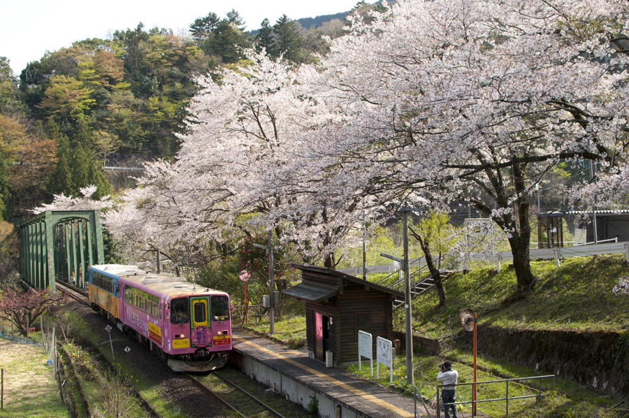 13年 春の樽見鉄道 日当駅にて 旅するように暮らす 13年 春の樽見鉄道 日当駅にて 旅するように暮らす