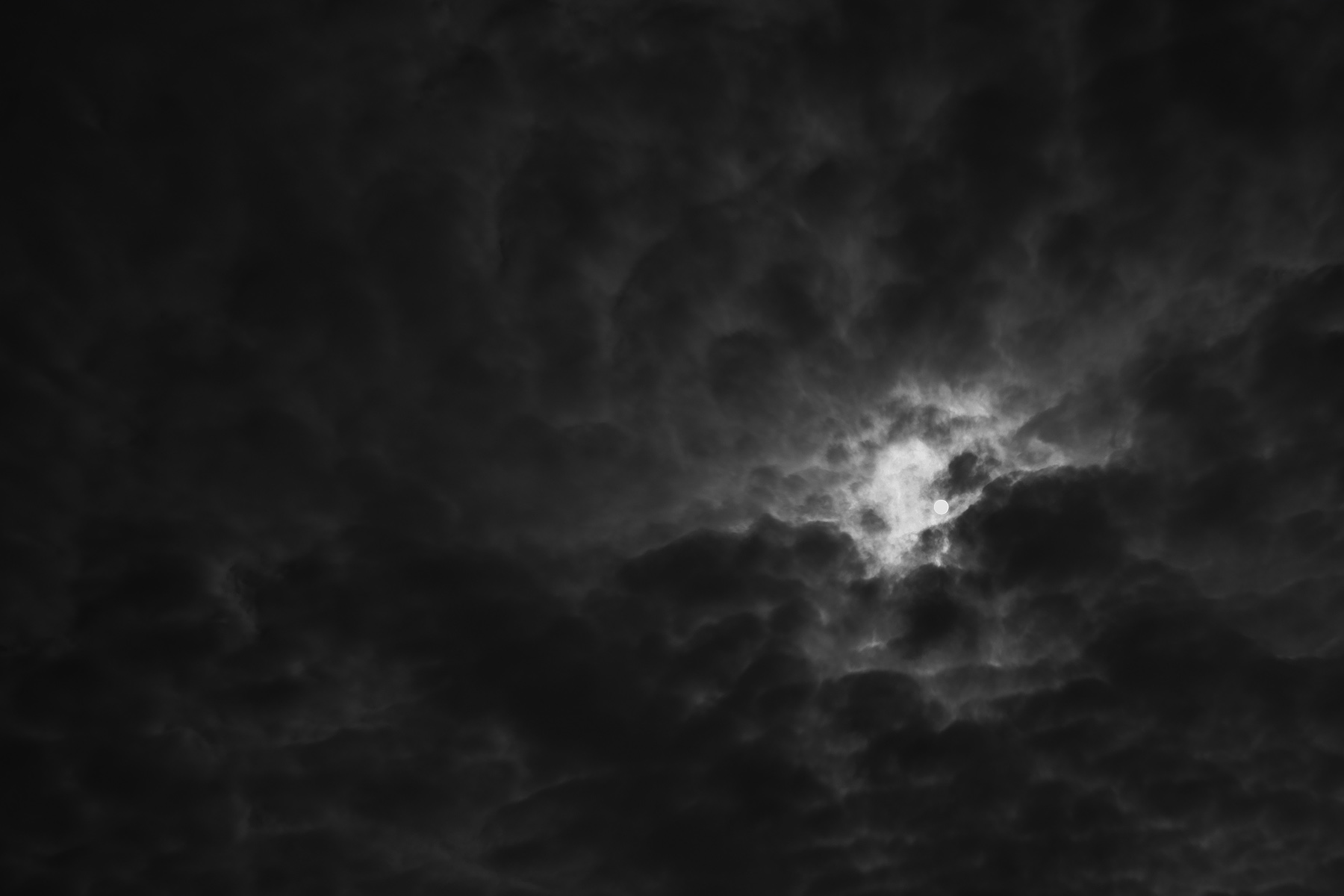 a0141586_8424641.jpg