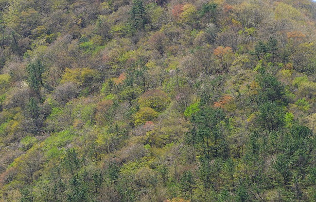 b0255992_22352945.jpg
