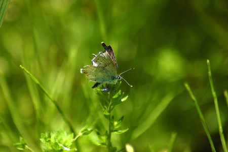 d0313296_2245326.jpg