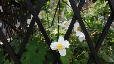 b0199304_23275615.jpg