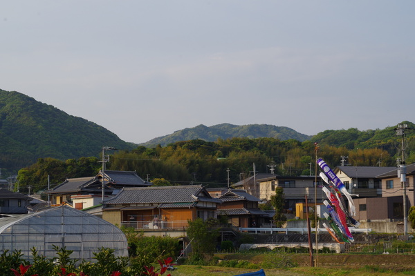 淡路訪問は今日も突然_c0056707_22274211.jpg