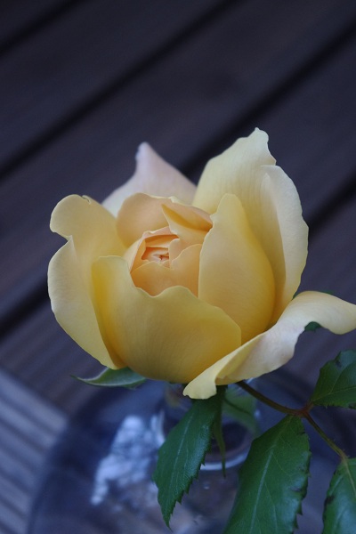 c0147909_7375039.jpg