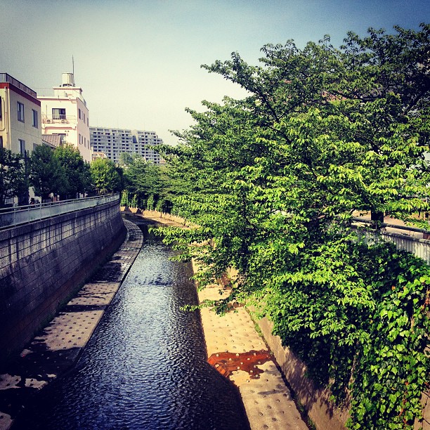 b0087212_10481750.jpg