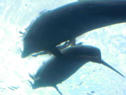 c0193512_117121.jpg