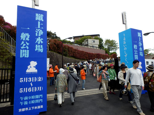 蹴上浄水場 ツツジ満開_e0048413_18455226.jpg