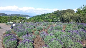 f0274713_2272117.jpg