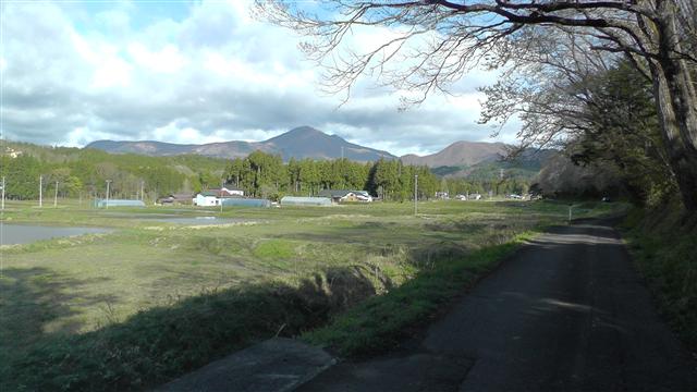 a0127015_19295579.jpg