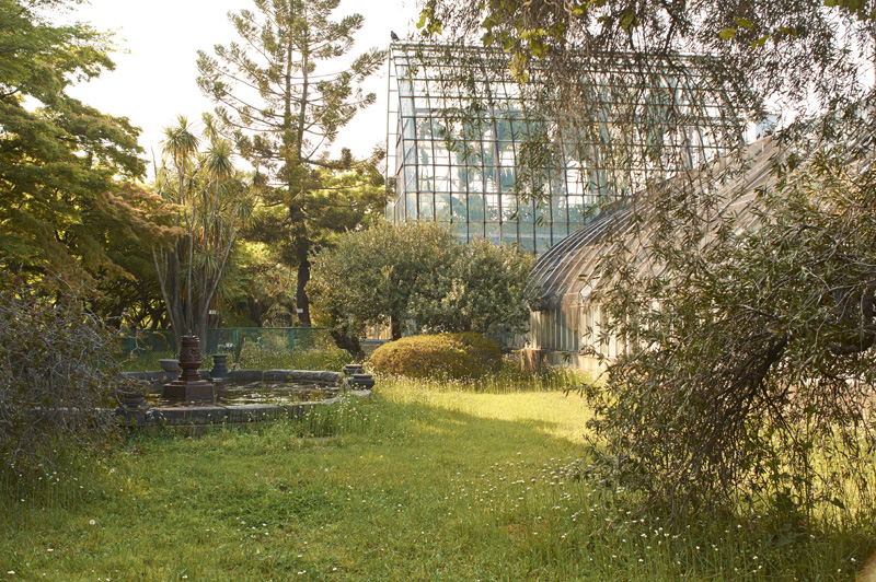 The Garden(Dedicated to Derek Jarman_May)_a0214416_2113198.jpg