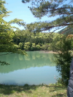 Fraisier~!_c0140516_204103.jpg