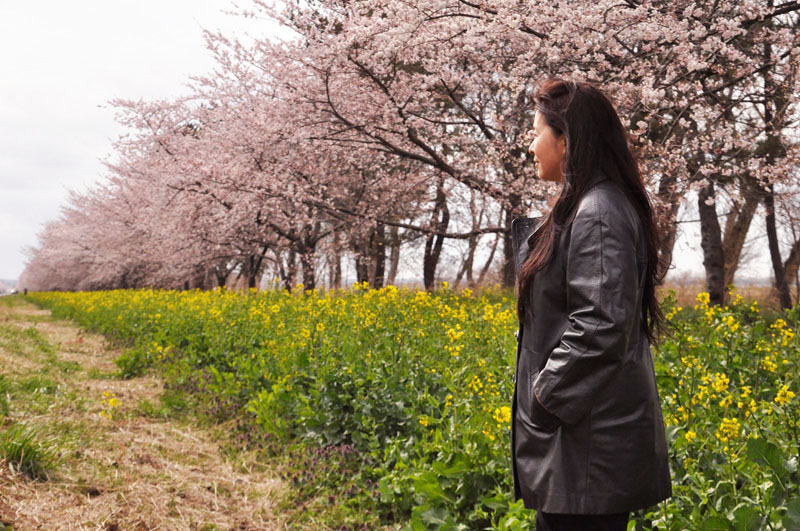 桜＆菜の花ロード_e0162117_32269.jpg