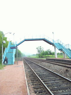 a0119620_1649838.jpg