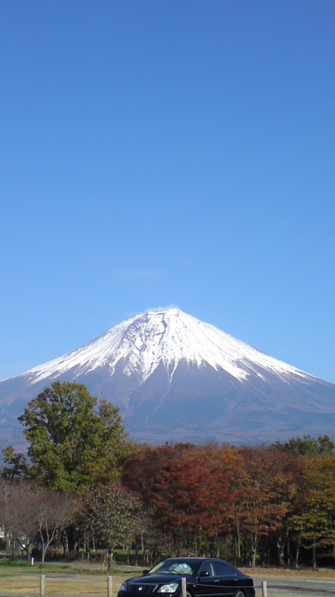 c0173826_20233011.jpg