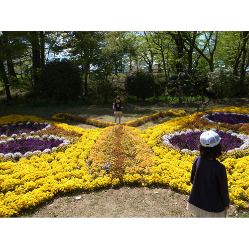 北杜市オオムラサキセンターへ行く_e0131432_1783788.jpg