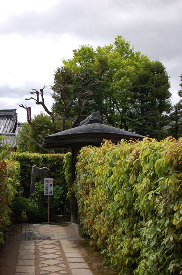 c0039736_15544126.jpg