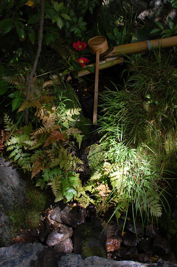c0039736_15571516.jpg